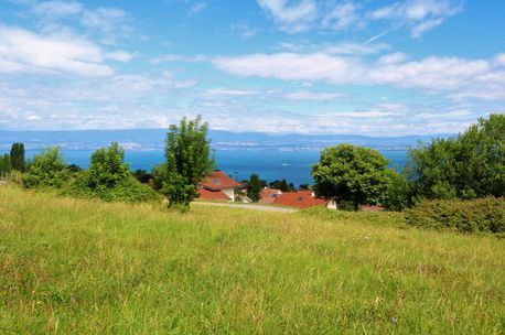 Building plot in Neuvecelle SOLD by DE CORDIER IMMOBILIER Evian