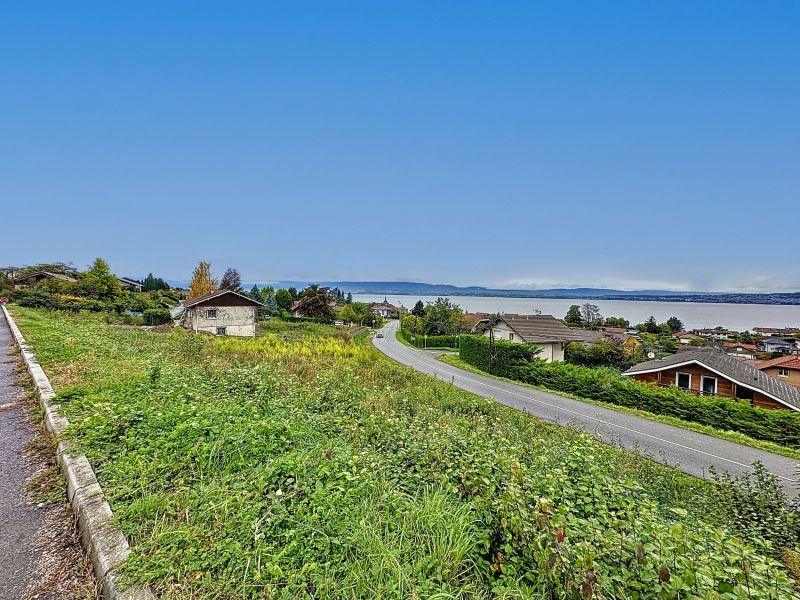 terrain en vente sur NEUVECELLE (74500) Vente Terrain Neuvecelle 74500 1376 m²