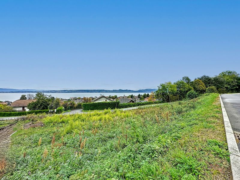 terrain en vente sur NEUVECELLE (74500) Vente Terrain Neuvecelle 74500 1376 m²