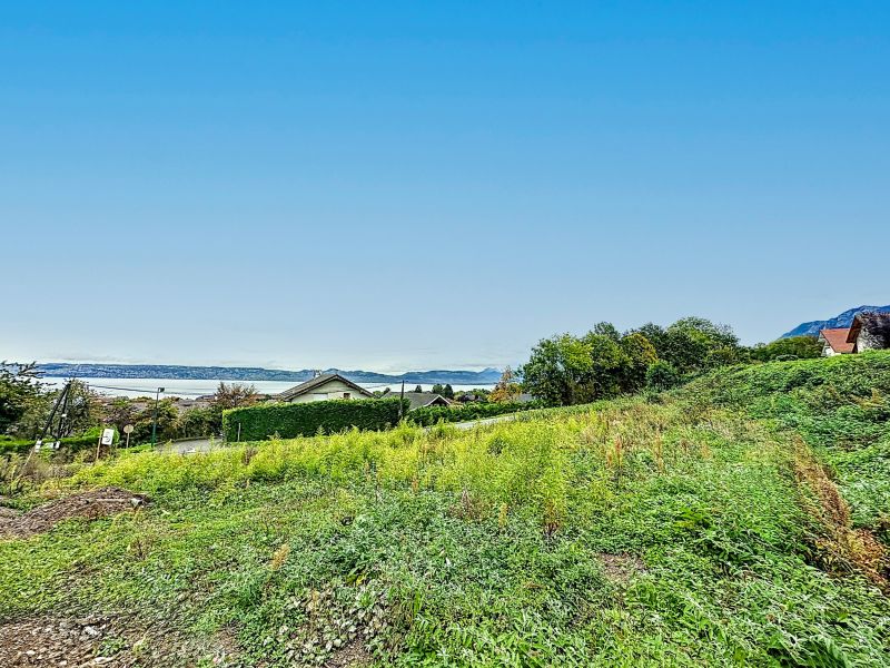 terrain en vente sur NEUVECELLE (74500) Vente Terrain Neuvecelle 74500 1376 m²