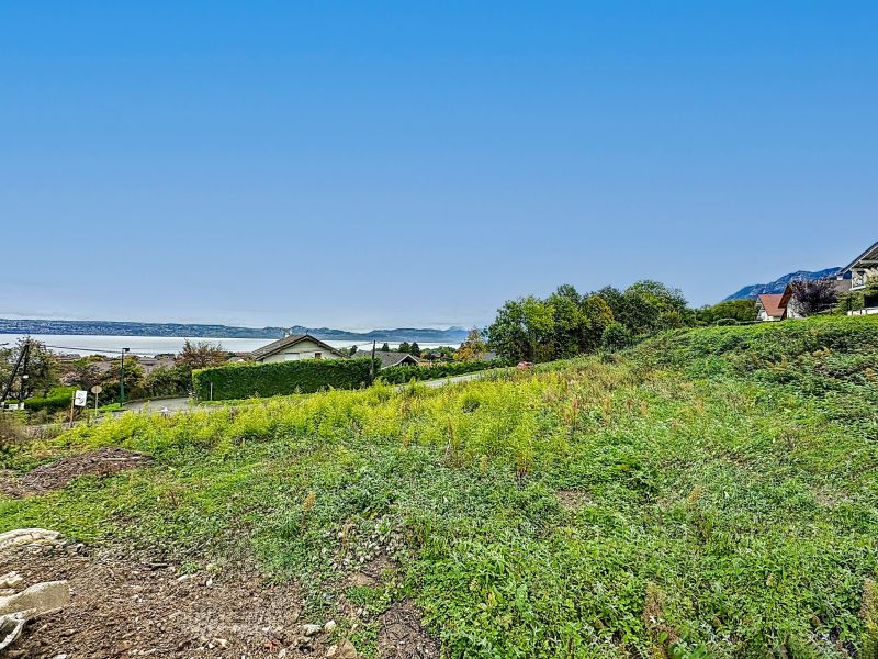 terrain en vente sur NEUVECELLE (74500) Vente Terrain Neuvecelle 74500 1376 m²