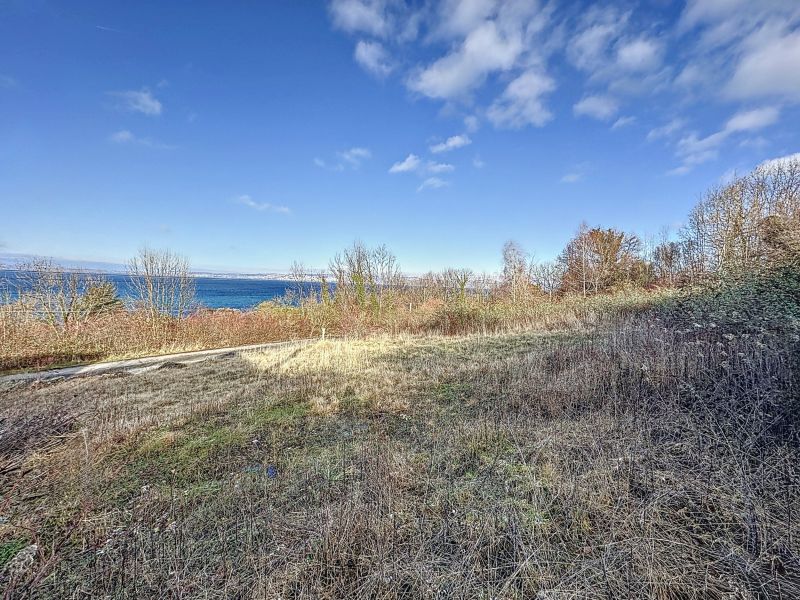 terrain en vente sur PUBLIER (74500) Vente Terrain Publier 74500 1810 m²