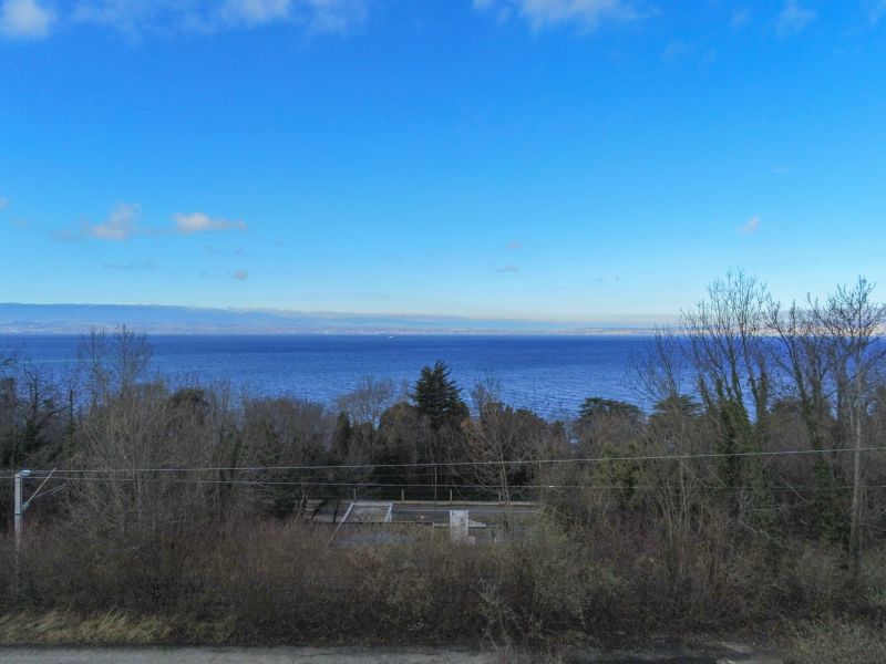 terrain en vente sur PUBLIER (74500) Vente Terrain Publier 74500 1810 m²