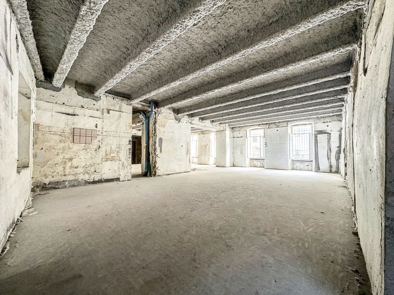 Vente Commerce Évian-les-Bains 74500 311.4 m²