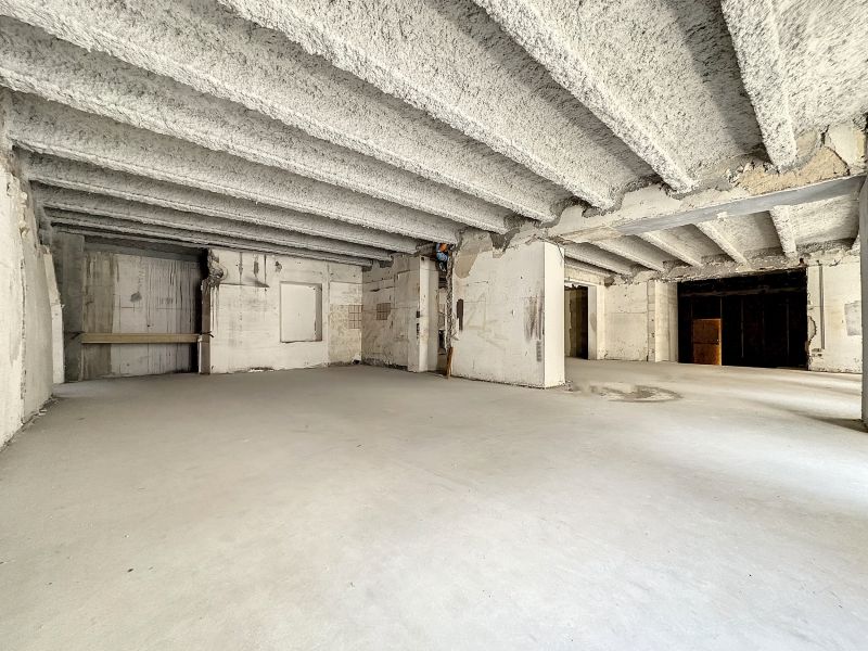 Vente Commerce Évian-les-Bains 74500 311.4 m²