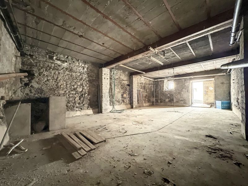 Vente Commerce Évian-les-Bains 74500 311.4 m²