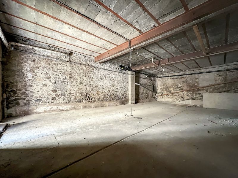 Vente Commerce Évian-les-Bains 74500 311.4 m²