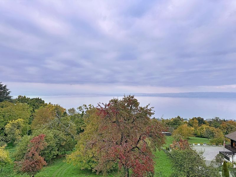 maison 8 pièces en vente sur PUBLIER (74500) Vente Maison Publier 74500 214 m²