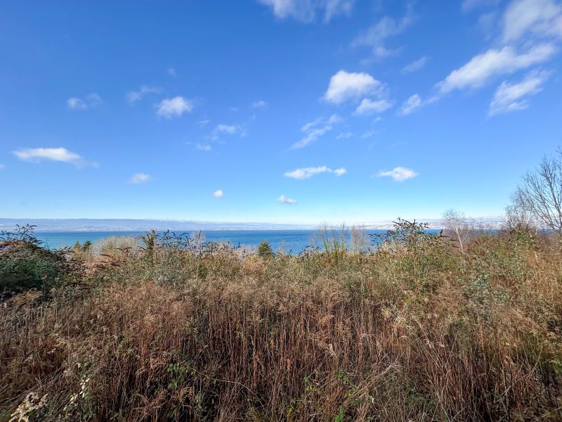 Vente Terrain Publier 74500 794 m²