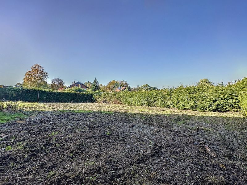 Vente Terrain Maxilly-sur-Léman 74500 558 m²