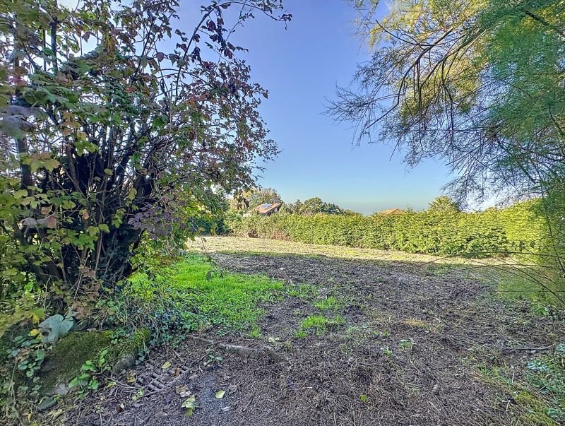 Vente Terrain Maxilly-sur-Léman 74500 558 m²