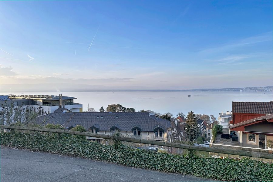 Vente Appartement Évian-les-Bains 74500 52.79&nbsp;m²
