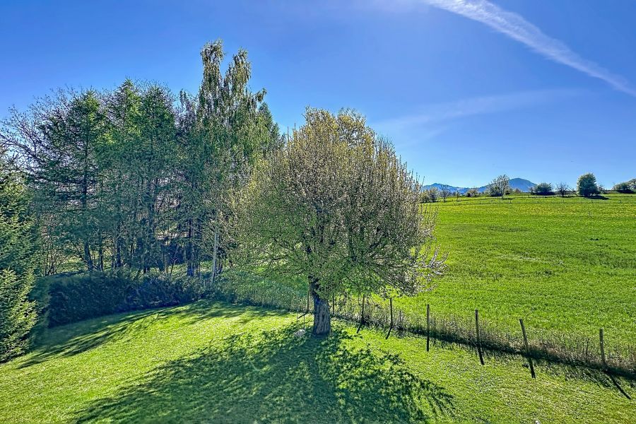 Sale House Saint-Paul-en-Chablais 74500 100&nbsp;m²