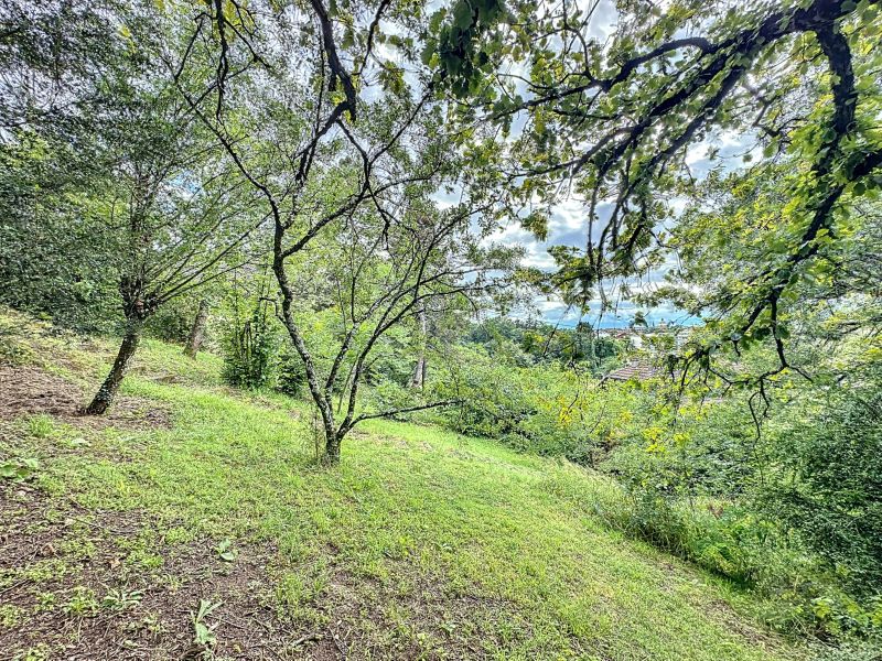 Vente Terrain Thonon-les-Bains 74200 504&nbsp;m²