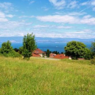 Terrain à Neuvecelle VENDU par DE CORDIER IMMOBILIER Evian