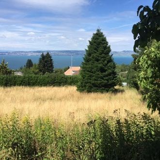 Terrain constructible Neuvecelle VENDU par DECORDIER immobilier Evian