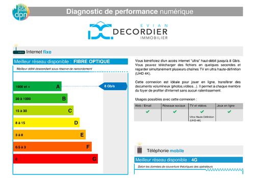 Diagnostic de Performance Numérique 